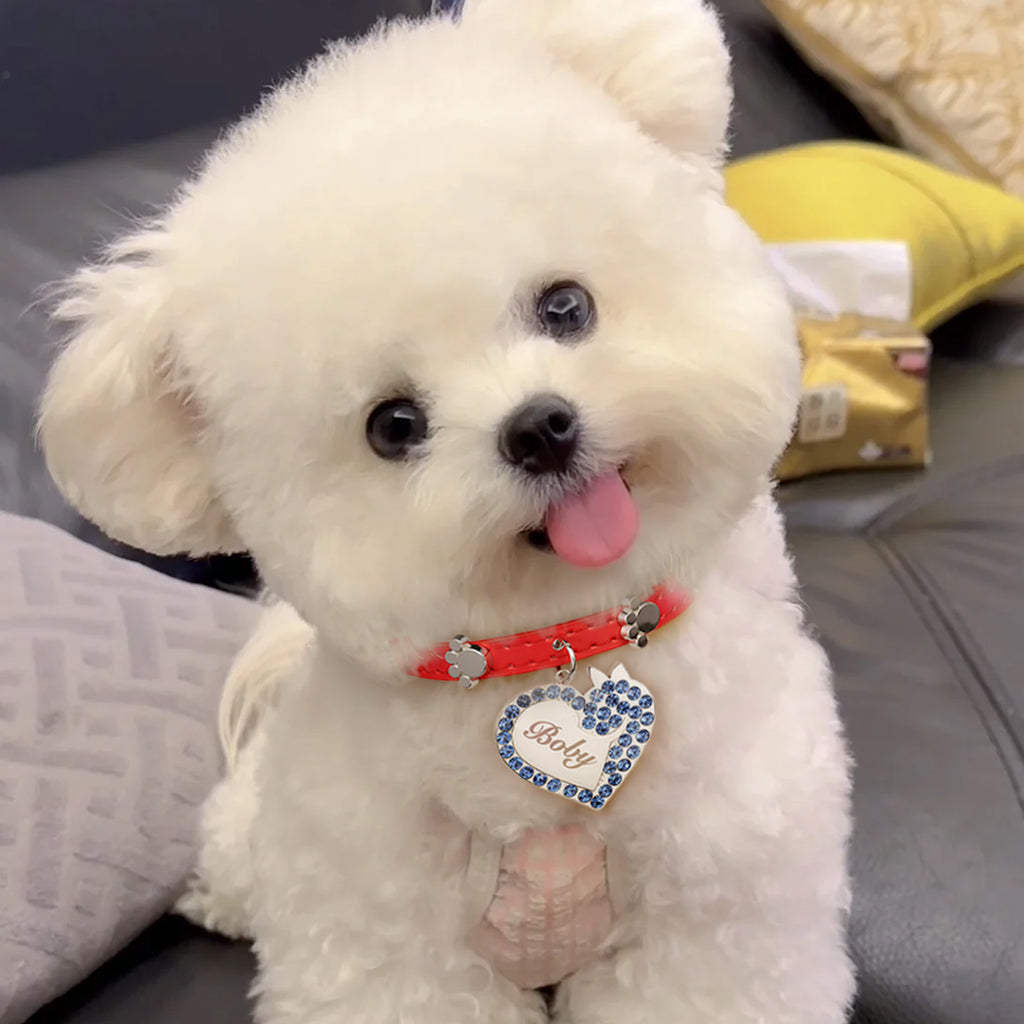 Gnoce Engravable Dog Heart Pet Tag & Flame Red Collar Anti-Lost_6