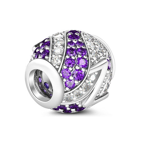 Gnoce “Letter Z with Special Meaning for Special Person ”Made of 925 Sterling Silver Amethyst & Clear CZ Letter Z Charm_2