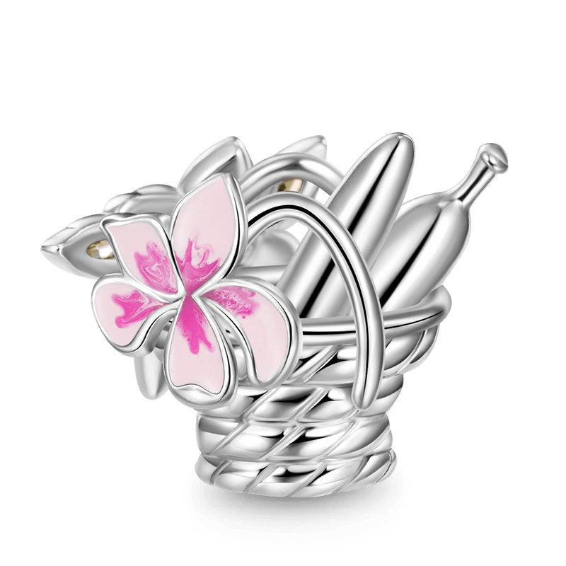 Gnoce Food Basket Happy Package Charm_2