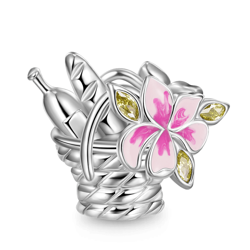 Gnoce Food Basket Happy Package Charm_1