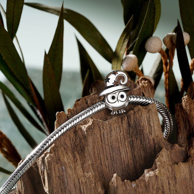 Gnoce Owl with Witch Hat Gift Charm_3
