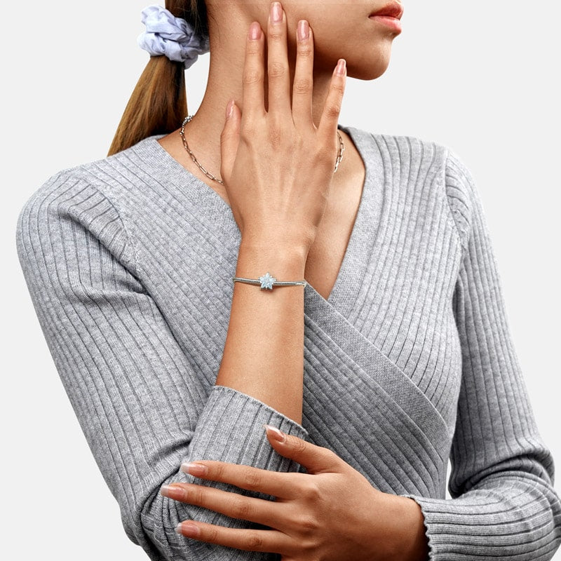 Gnoce Sparkling Winter Snowflake Charm_4