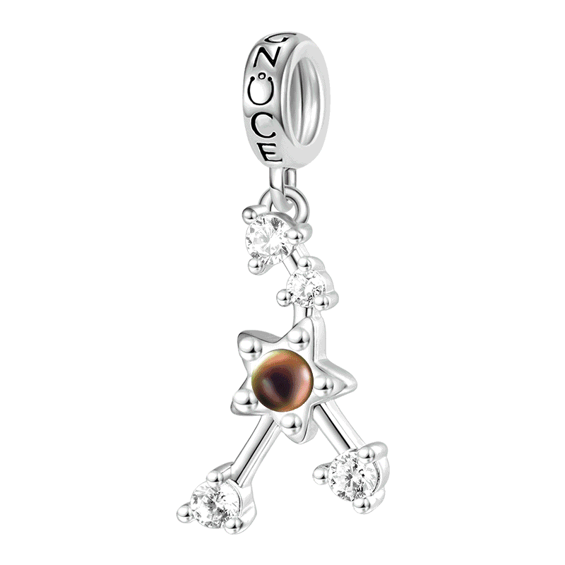 Gnoce Zodiac Sign Mood Pendant Dangle Charm_1