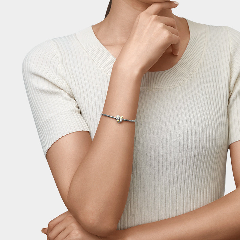 Gnoce Spring daisy ladybug Hollow Charm_4