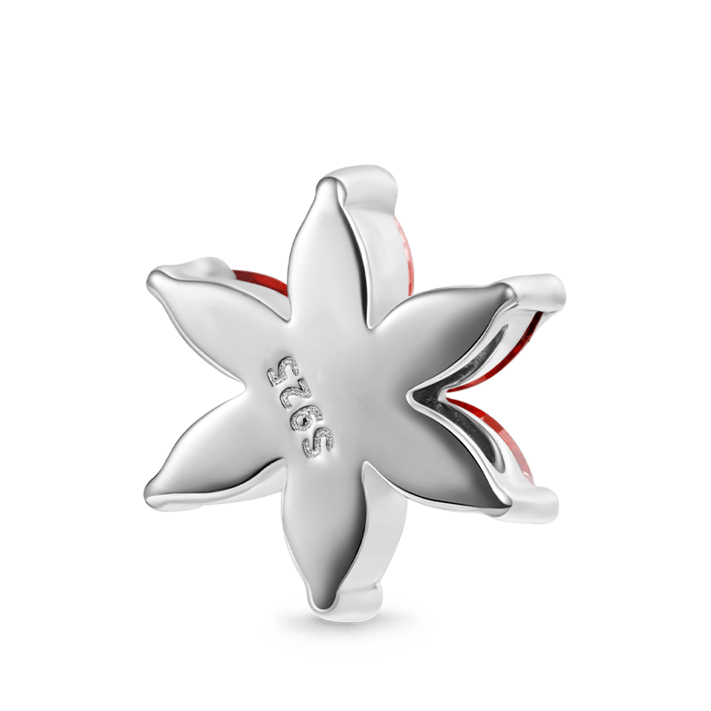 Gnoce Snowflake Birthstone Charm_2