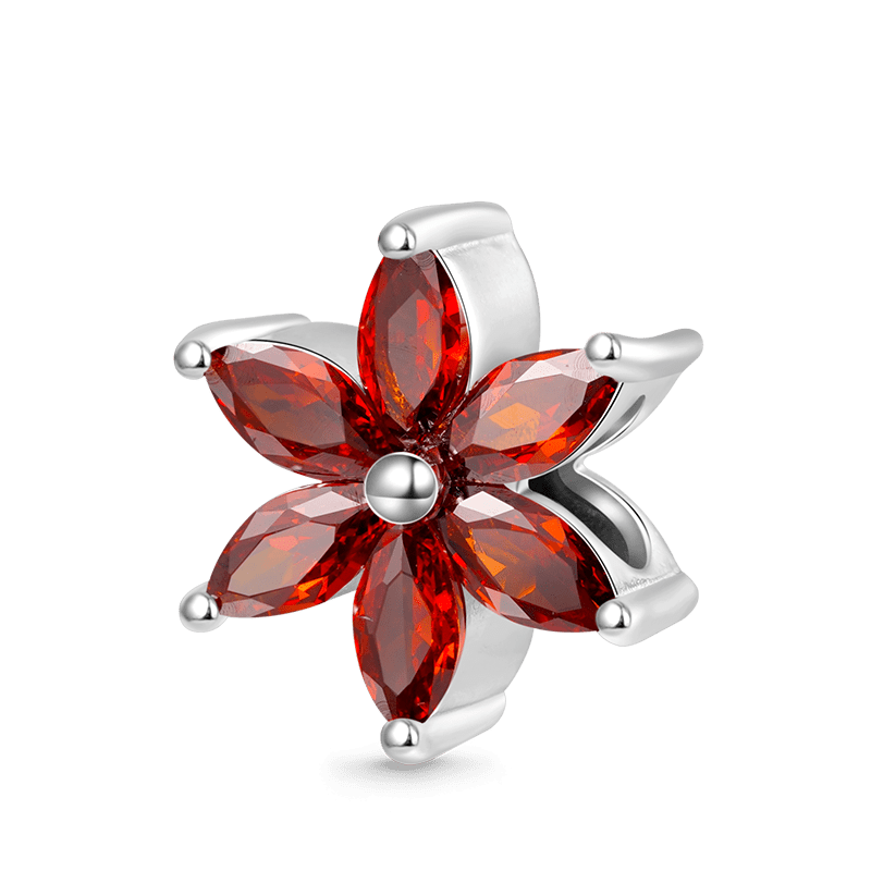 Gnoce Snowflake Birthstone Charm_1