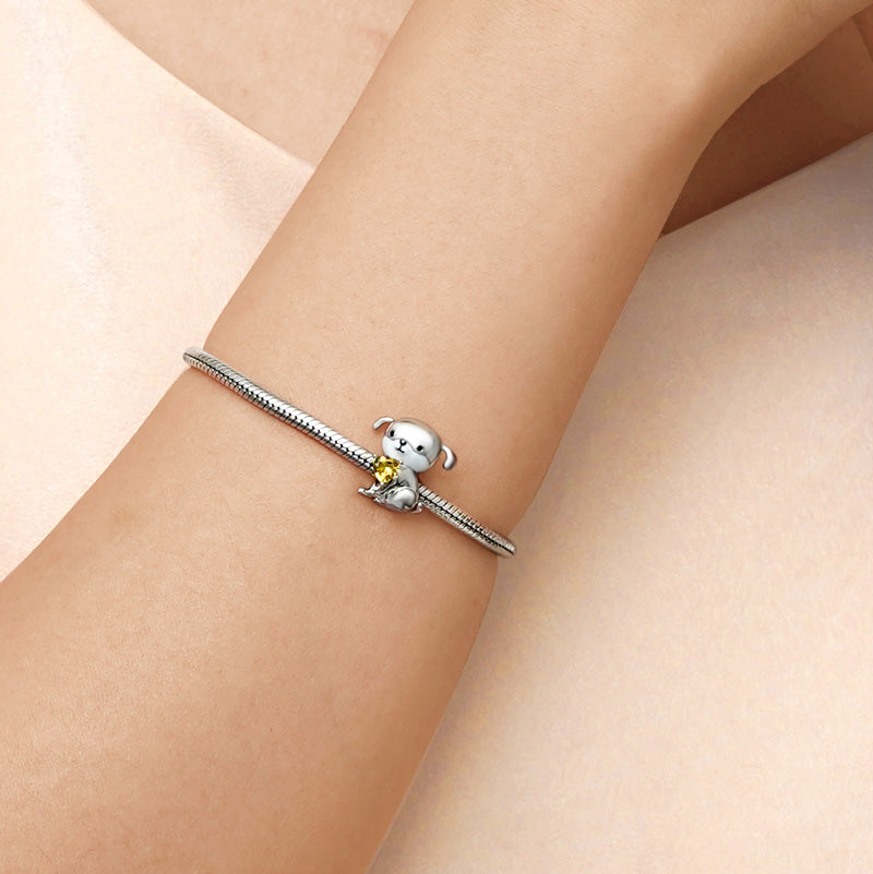 Gnoce Lovely Dog Embraces Heart Gem Charm_5