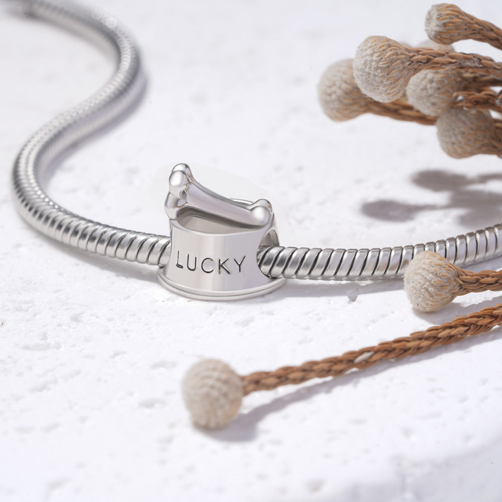 Gnoce Pet Dog Bowl Engravable Name Charm_4