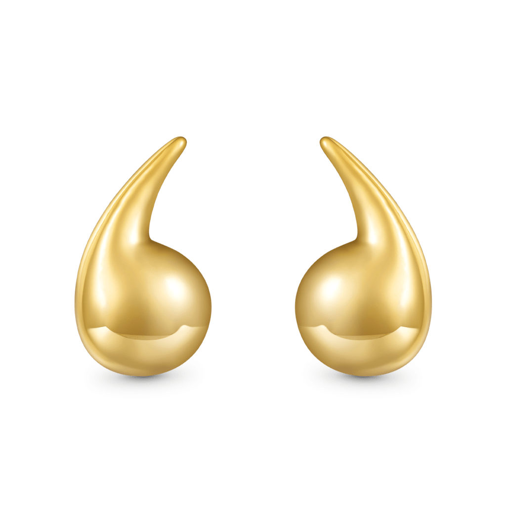 Gnoce Drop Shape Earrings_1