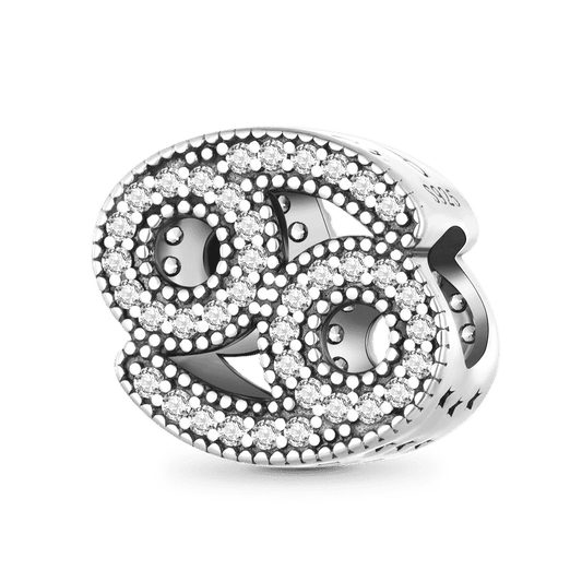 Gnoce Twelve Constellation Lucky Charm_1