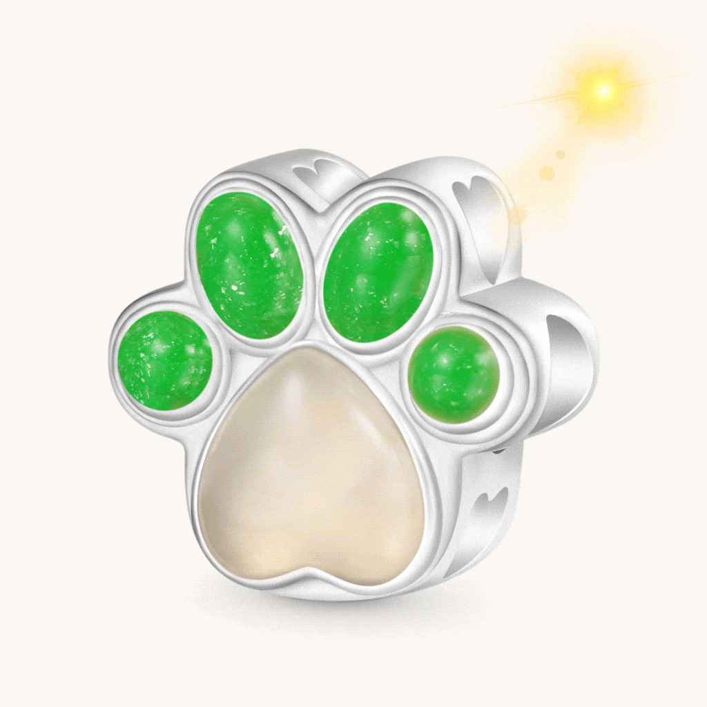 Gnoce "Best Friends Are Never Forgotten" Color-changing Dog Paw Charm_1