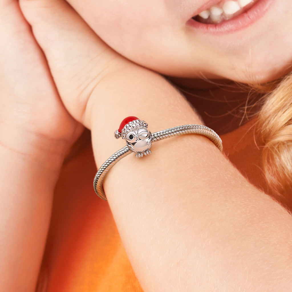 Gnoce Owl with Santa Hat Gift Charm_5