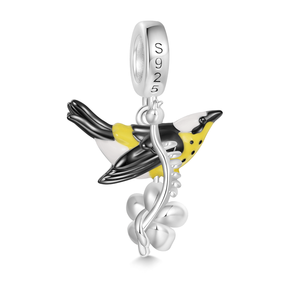 Gnoce Black Oriolus Chinensis Pendant Dangle Charm_2