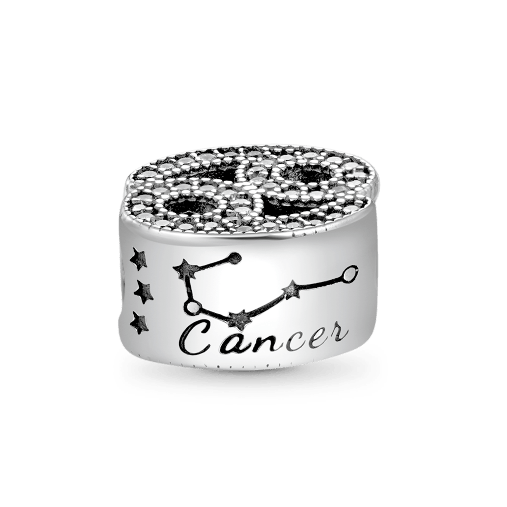 Gnoce Twelve Constellation Lucky Charm_2