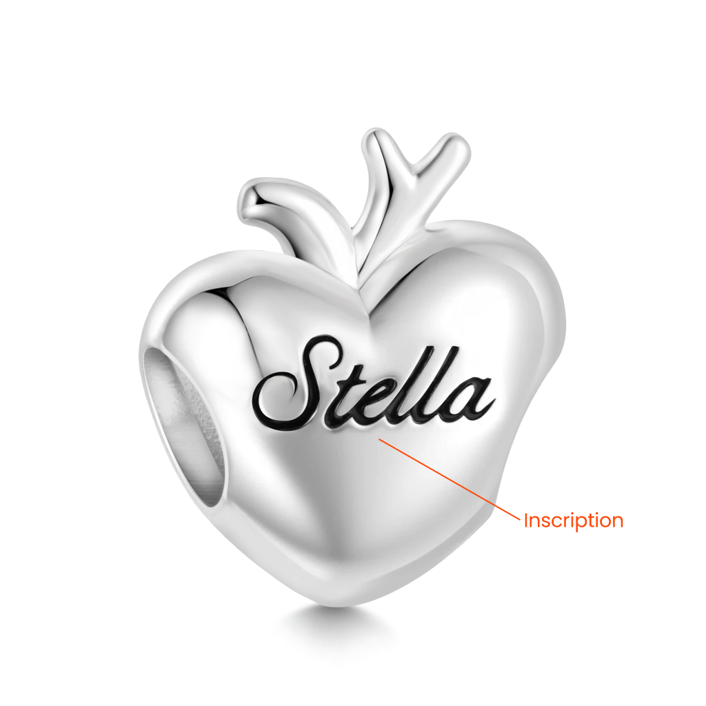 Gnoce Pink Crystal Engravable Heart Charm_2