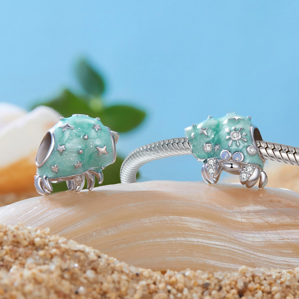 Gnoce Summer Hermit Crab Charm_2