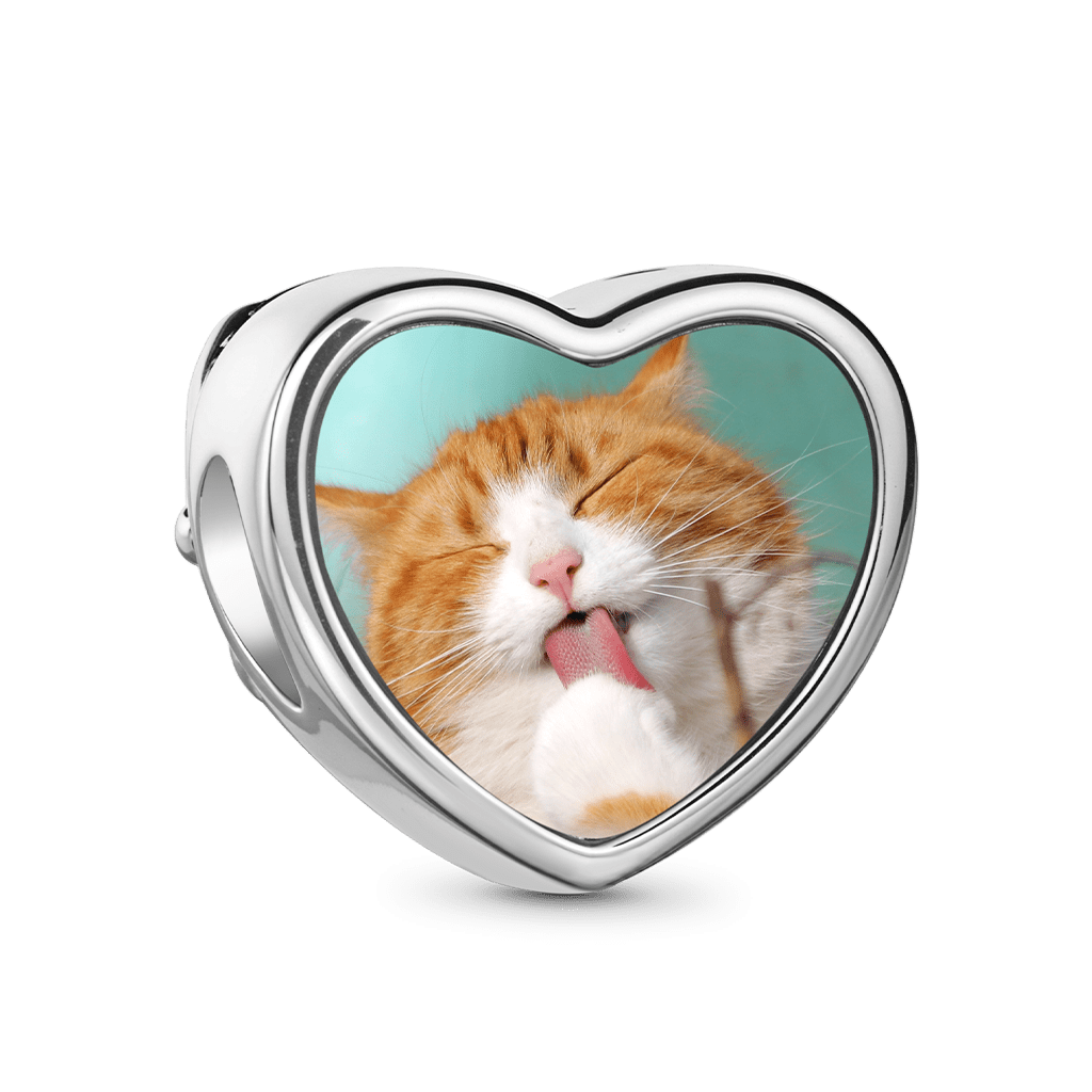 Gnoce Personalized Cute Cats Photo Charm_2