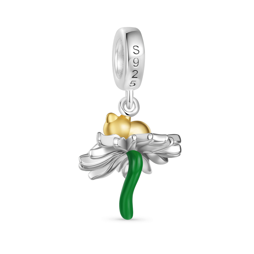 Gnoce The Cat in Daisy Charm_5
