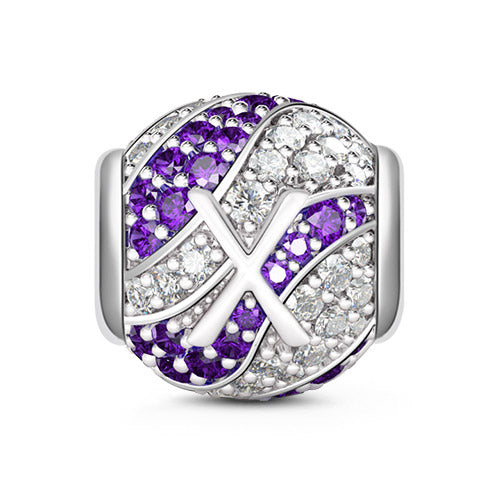 Gnoce “Letter X with Special Meaning for Special Person ”Made of 925 Sterling Silver Amethyst & Clear CZ Letter X Charm_1