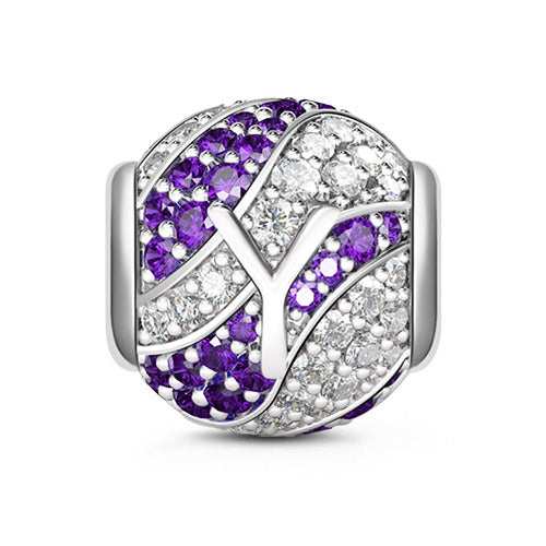Gnoce “Letter Y with Special Meaning for Special Person ”Made of 925 Sterling Silver Amethyst & Clear CZ Letter Y Charm_1