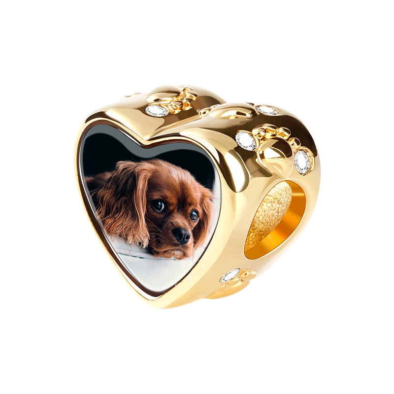Gnoce "Your Puppy is Always There to Brighten Your Day" Heart Shaped 18k Gold Plated White Stone 925 Sterling Silver Charm Bead_2